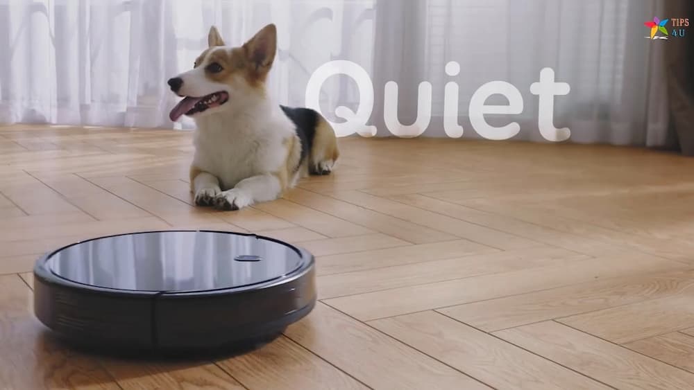 Best Quiet Robot Vacuum