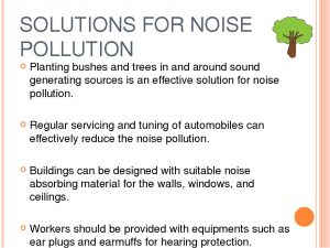 img6 Which Strategy is Best for Reducing Noise Pollution in Our Community?