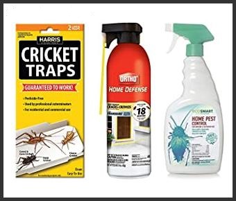 40938 How To Get Rid Of Cricket Noise At Night